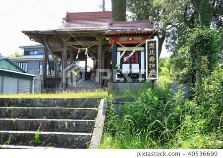 Yasaka Shrine and Ebisu Shrine Yasaka Shrine and Ebisu Shrine 40536690