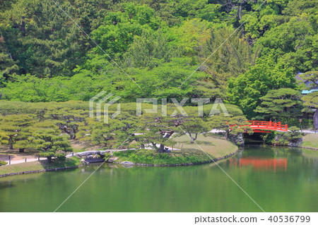 新鮮的綠色Rurin公園 新鮮的綠色Rurin公園 40536799