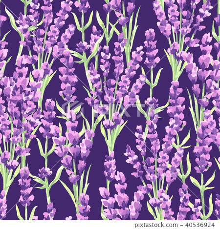 Lavender flowers seamless pattern. - Stock Illustration [40536924] - PIXTA