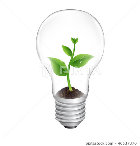 Bulb With Green Sprout White Background 40537370