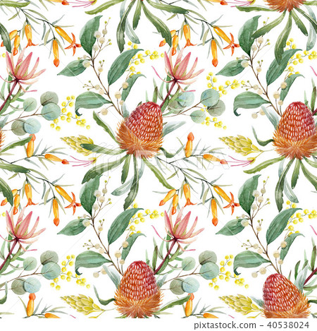 Watercolor australian banksia floral pattern 40538024