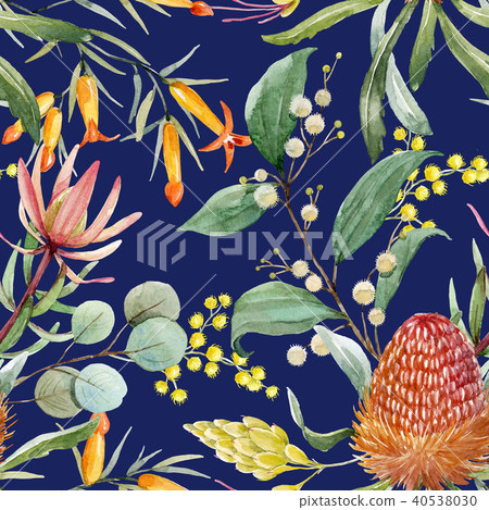 Watercolor australian banksia floral pattern 40538030