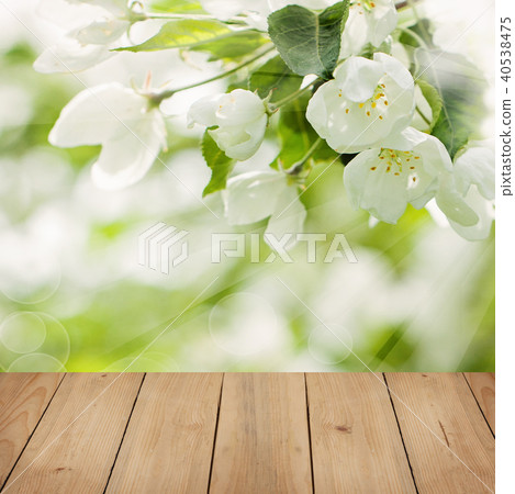 Floral Background with Empty Wooden Showcase. Floral Background with Empty Wooden Showcase. 40538475