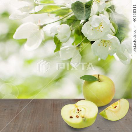 Spring season background with apple fruits Spring season background with apple fruits 40538511