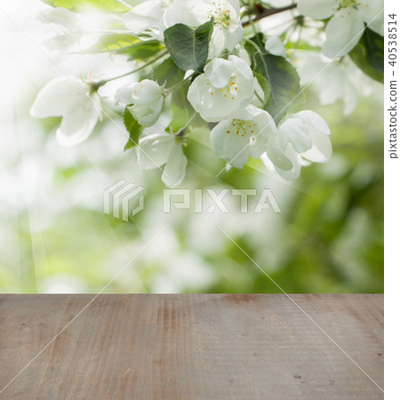 Spring Flowers, Green Leaves and Gray Table Spring Flowers, Green Leaves and Gray Table 40538514