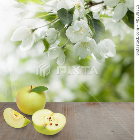 Season background with apple fruits, green leaves Season background with apple fruits, green leaves 40538515