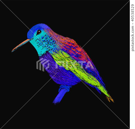 Hummingbird with colorful glossy plumage. Modern 40538529