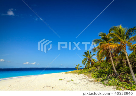 Tropical beach on an island Tropical beach on an island 40538940