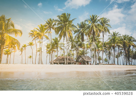 beach , palm trees  blue sky vacation background 40539028