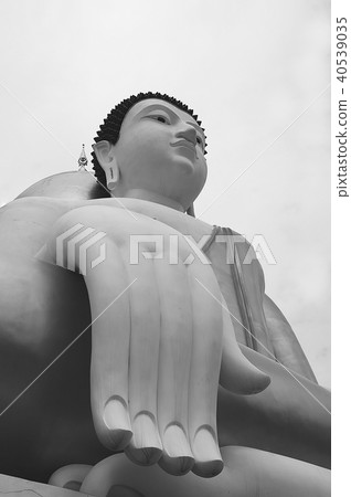 Buddha statue Black and white 40539035