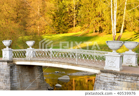 Cast-iron bridge in Pavlovsk Park. 40539976