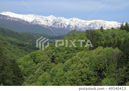 從大町市美馬看到的北阿爾卑斯山白馬宮山 從大町市美馬看到的北阿爾卑斯山白馬宮山 40540413