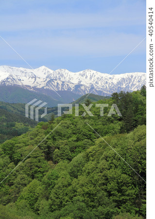 從大町市美馬看到的北阿爾卑斯山白馬宮山 從大町市美馬看到的北阿爾卑斯山白馬宮山 40540414