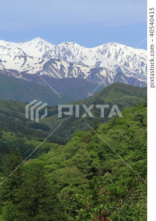 從大町市美馬看到的北阿爾卑斯山白馬宮山 從大町市美馬看到的北阿爾卑斯山白馬宮山 40540415