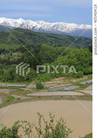 Northern Tateyama Tateyama Mountain Range seen from terraced rice fields before planting rice 40540419
