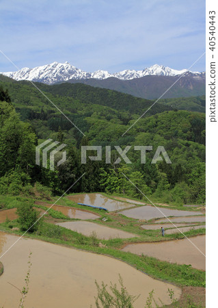 在種植水稻之前從露台的稻田看到的北立山立山山脈 在種植水稻之前從露台的稻田看到的北立山立山山脈 40540443