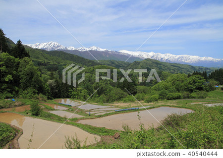 在種植水稻之前從露台的稻田看到的北立山立山山脈 在種植水稻之前從露台的稻田看到的北立山立山山脈 40540444