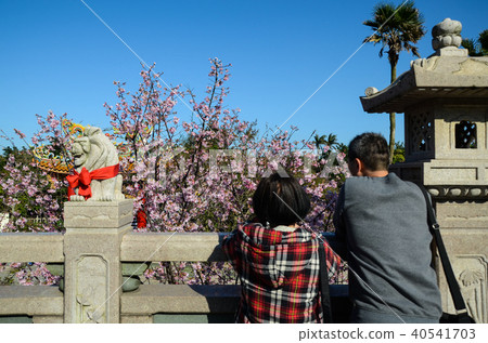 Takebayashi San Koon-ji Temple, Shinbei Kouka, Shishiko 40541703