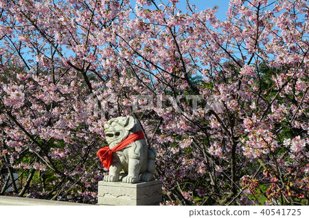 Takebayashi San Koon-ji Temple, Shinbei Kouka, Shishiko 40541725