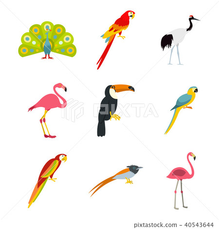 Exotic birds icon set, flat style Exotic birds icon set, flat style 40543644