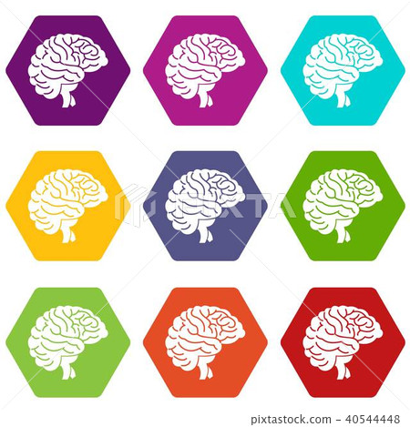 Brain icon set color hexahedron Brain icon set color hexahedron 40544448