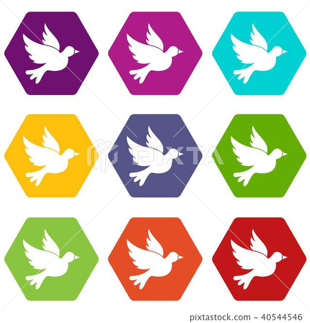Dove icon set color hexahedron Dove icon set color hexahedron 40544546