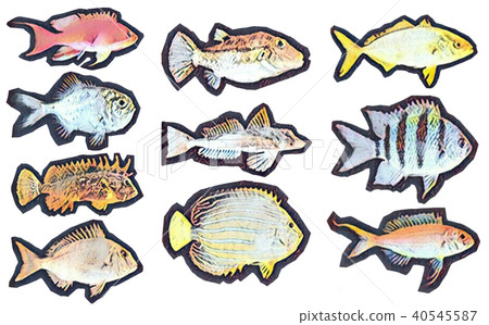 魚,魚 魚,魚 40545587