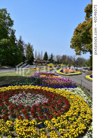 Flower clock Flower garden Flower field Flower clock Flower garden Flower field 40546075