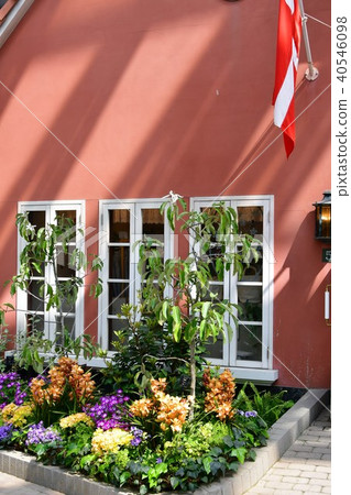 Flower clock Flower garden Flower field Flower clock Flower garden Flower field 40546098