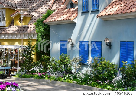 Flower clock Flower garden Flower field 40546103