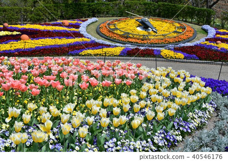 Flower clock Flower garden Flower field Flower clock Flower garden Flower field 40546176