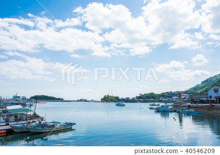 Konpo Konpo 40546209