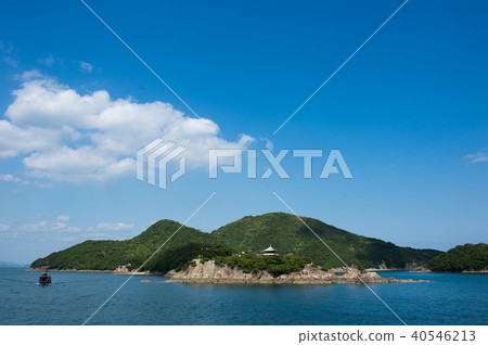 Konpo Konpo 40546213