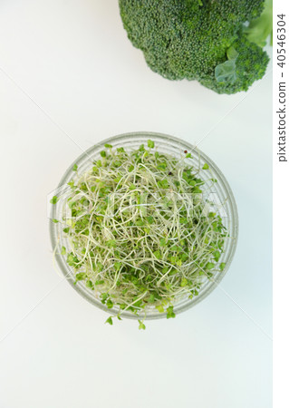 Sprout 40546304