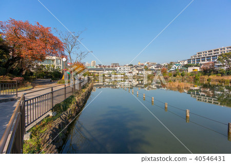 東京都大田區小池公園 東京都大田區小池公園 40546431