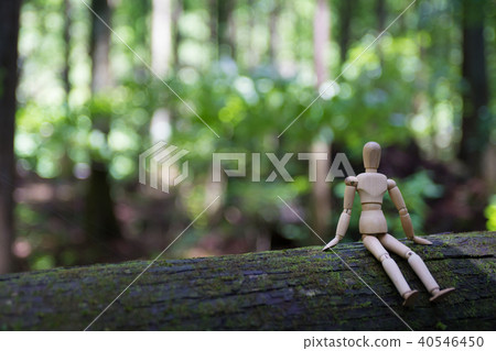 Wooden dolls Wooden dolls 40546450