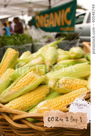 Farmers Market 40546749