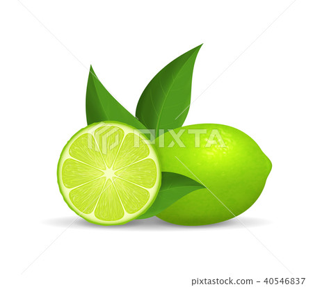Realistic Detailed 3d Whole Green Fruit Lime and Slice. Vector 40546837