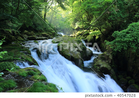 Early summer valley Early summer valley 40547028