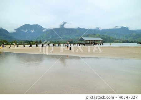 夏威夷，考艾島，Napali，海，Hanalei，度假，放鬆，旅遊，火車， 40547327
