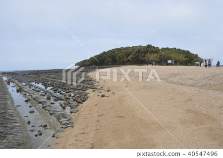 青島（宮崎縣宮崎市青島市） 40547496