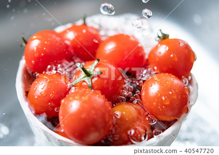 Petit tomato mini tomato tomato polka dot splash spring 40547720