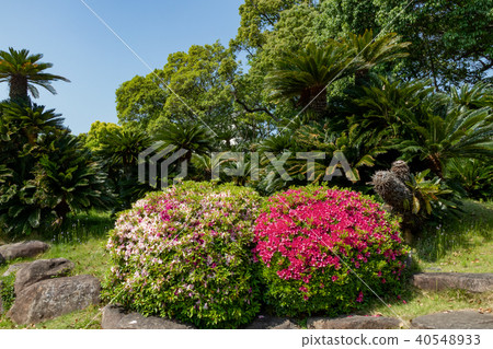 Kobe City · Aigakuen 40548933