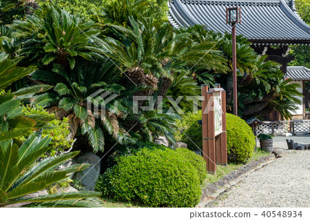 Kobe City · Aigakuen 40548934