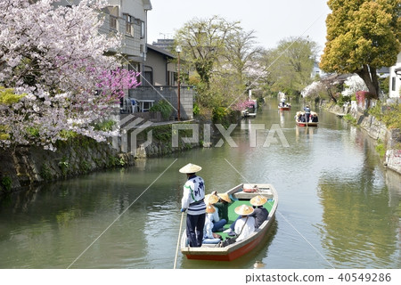 柳川市河景春風光 40549286