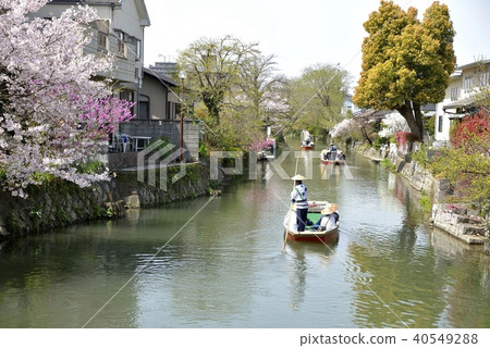 柳川市河景春風光 40549288