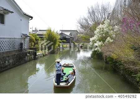 柳川市河景春風光 柳川市河景春風光 40549292