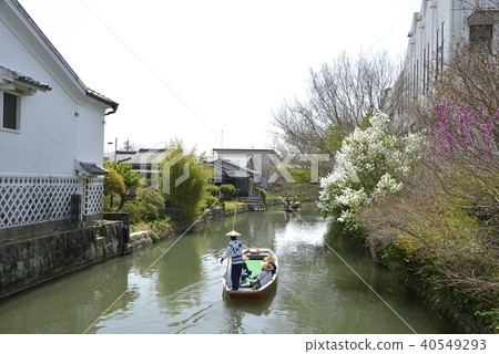 柳川市河景春風光 柳川市河景春風光 40549293