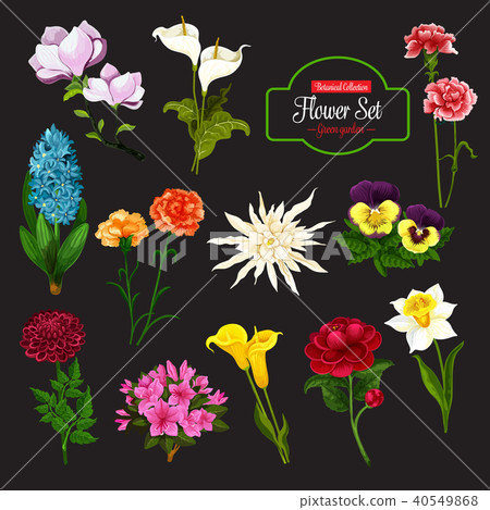 Flower icon with bunch of spring flowering plant Flower icon with bunch of spring flowering plant 40549868