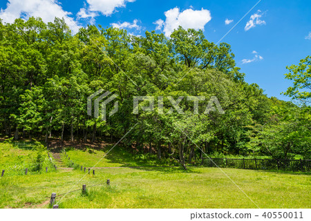 Asama mountain park scenery 40550011
